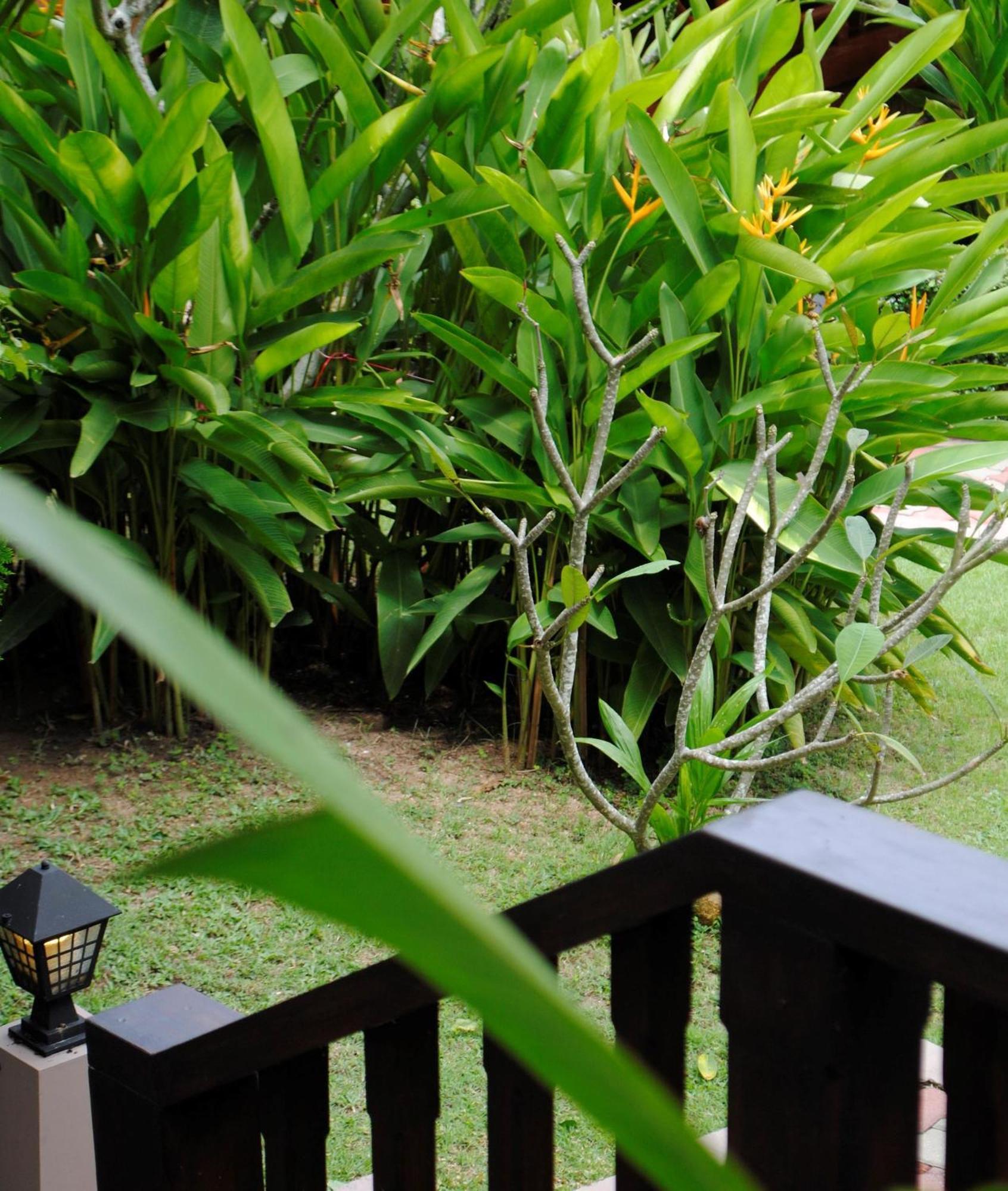 Baan Sawan Samui Resort Chaweng-stranden Værelse billede